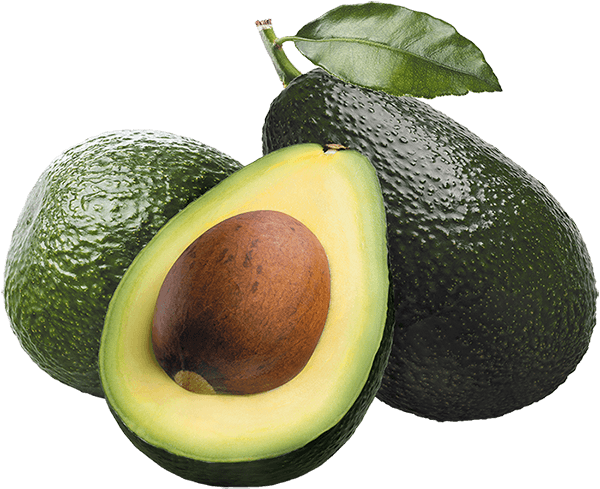 Fresh Avocado