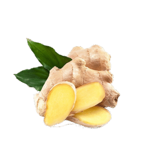 Ginger